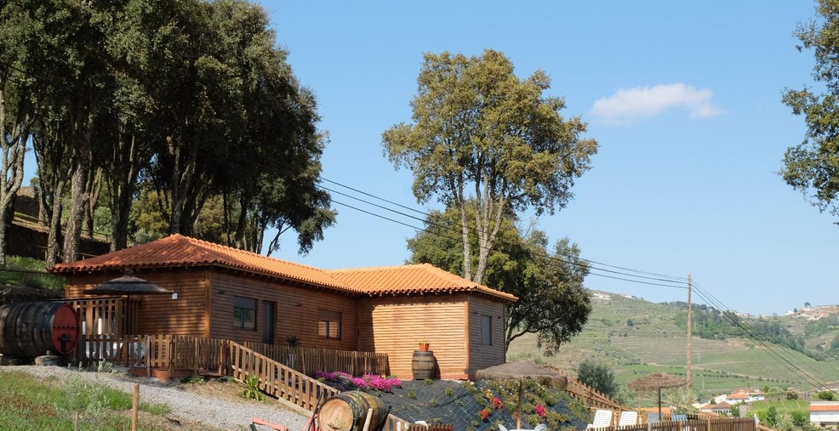 Vila Quinta Da Bandeira - Casa De Ferias No Douro Martir Exteriér fotografie